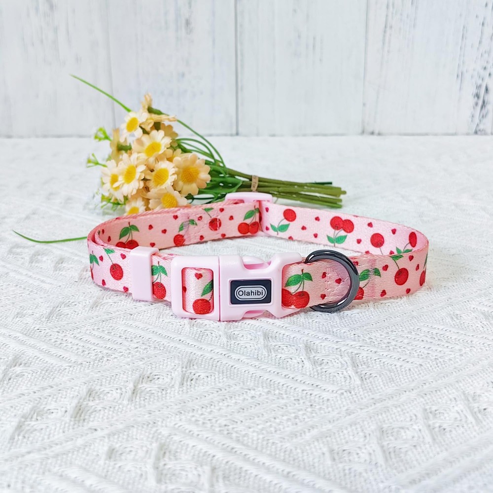 Dog Collar Leash Set Fruit Pattern Polyester Material Adjustable Collar and 5...