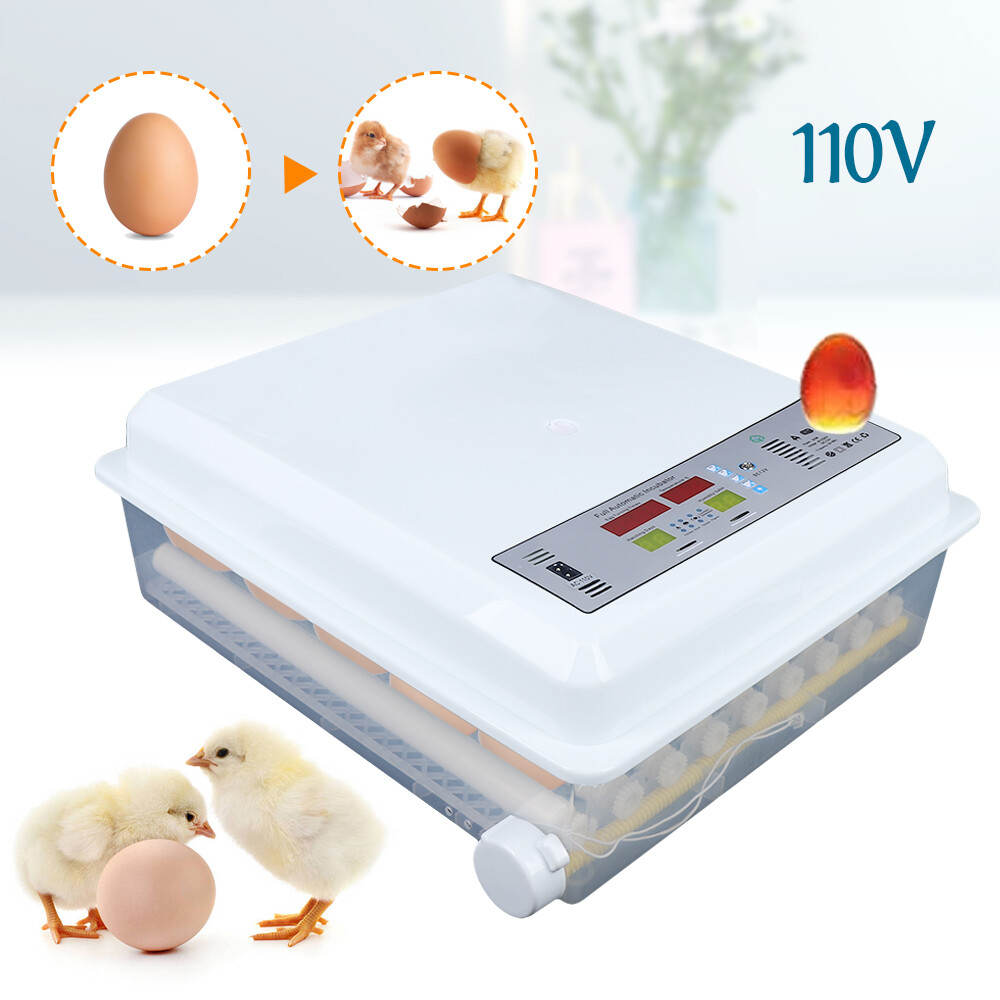 64 Eggs Incubator Automatic Turner Chicken Hatcher Incubators for Hatching Egg