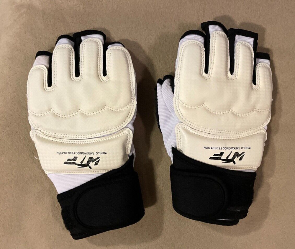 Excellent Condition Tae Kwon Do Gloves