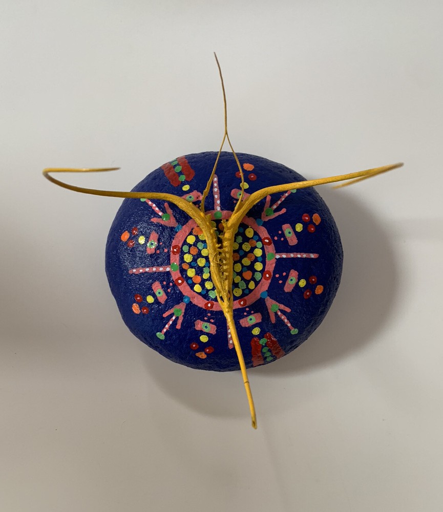 Proboscidea Devil's Claw FOLK ART SCULPTURE Painted Rock DEVIL'S Paperweight