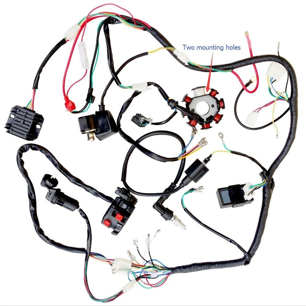 Complete Engine Wiring Harness Wire Loom 200cc 250cc Chinese ATV Quad  Buggy