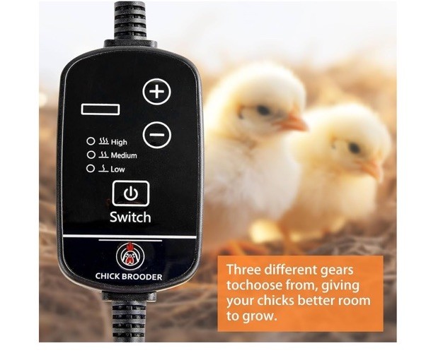 Chick Brooder (12"X8") Brooder Heater for Chicks Ducks and Birds Incubation Heat