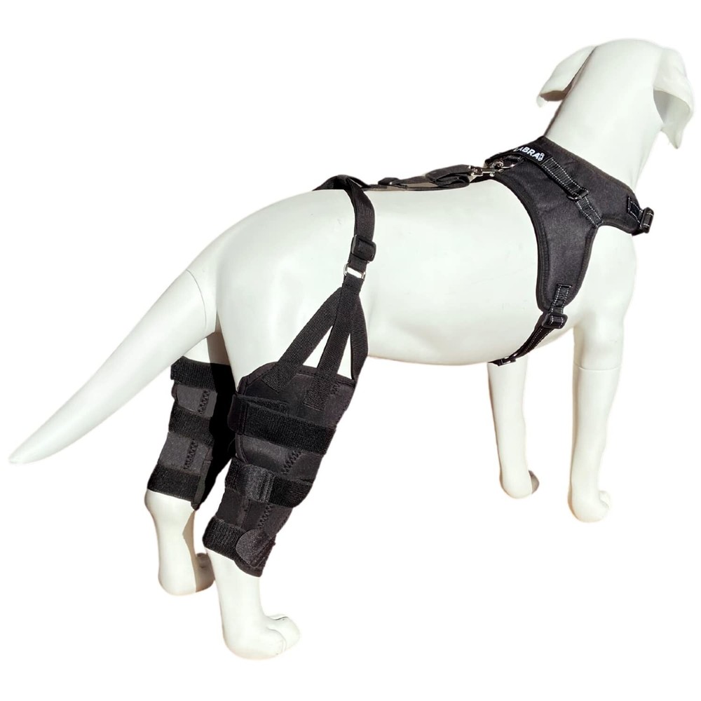 Labra Premium Canine Leg Support Size Large Extra