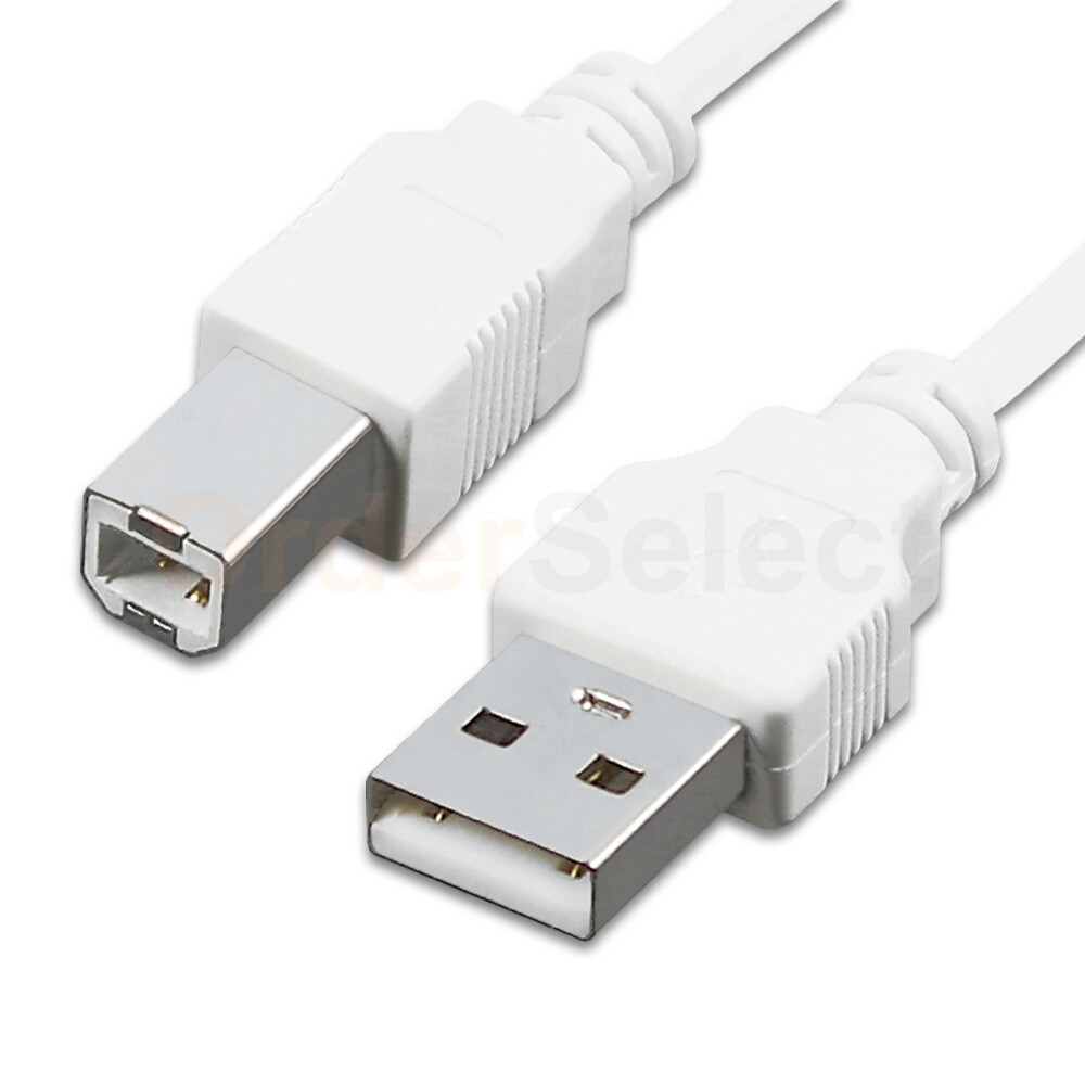 10FT USB 2.0 Printer Cable A Male to B Male Cable White