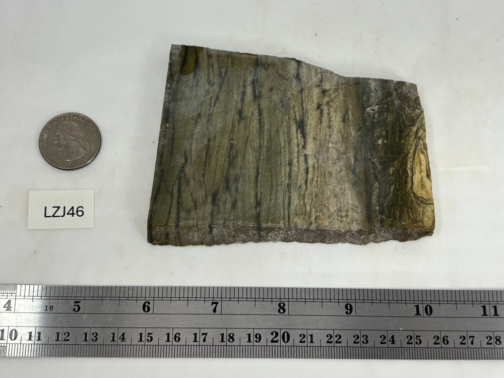 Lizard Skin Jasper slab for Cabbing Lapidary Combo Ship Avail
