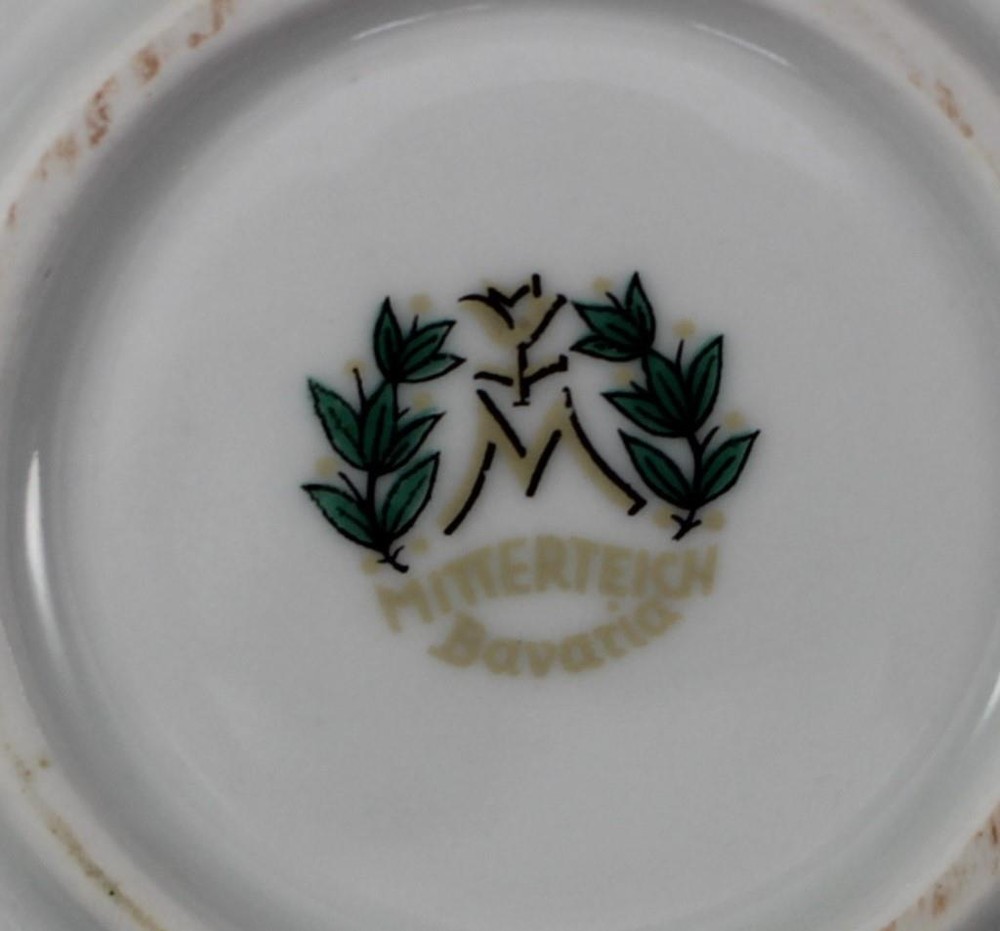 Mitterteich Platinum Princess 16 Inch Oval Platter