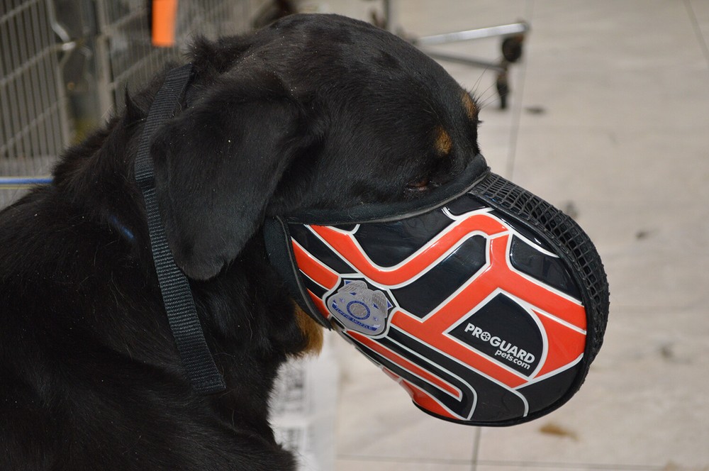 DOG MUZZLE (MESH) - FREE SHIPPING & HANDLING