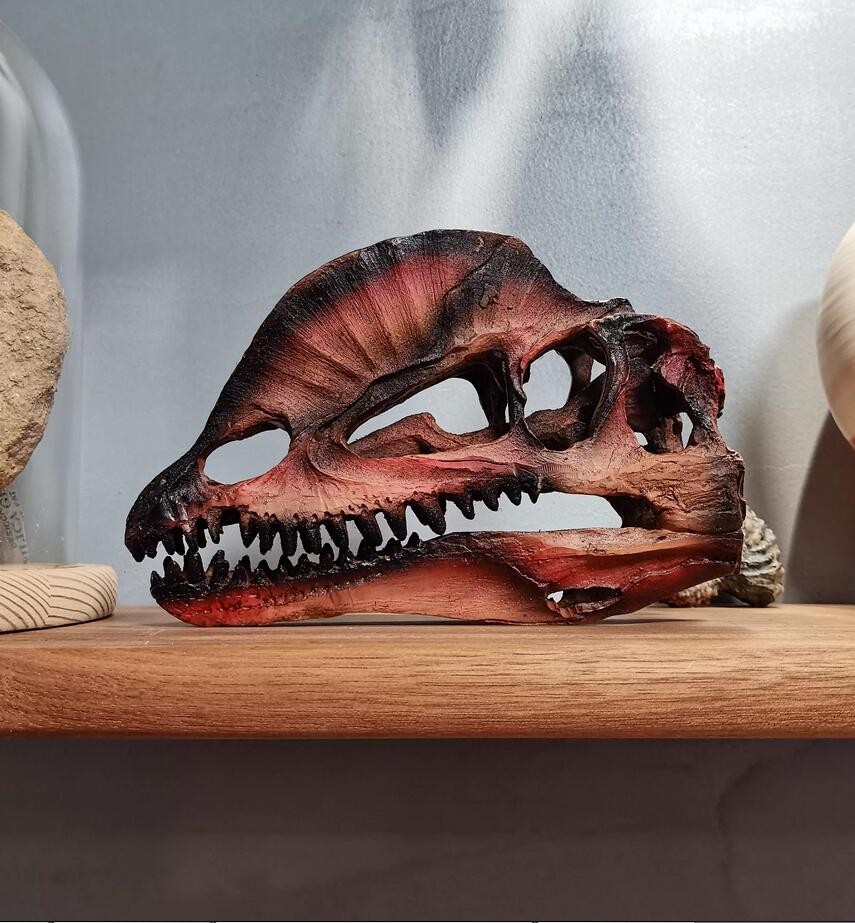 Dilophosaurus Skull Model Dinosaur Statue Display Animal Model