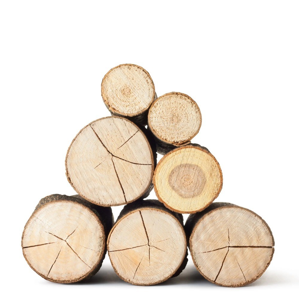 Decorative Birch Logs Natural Firewood for Centerpiece Craft Projects Rustic