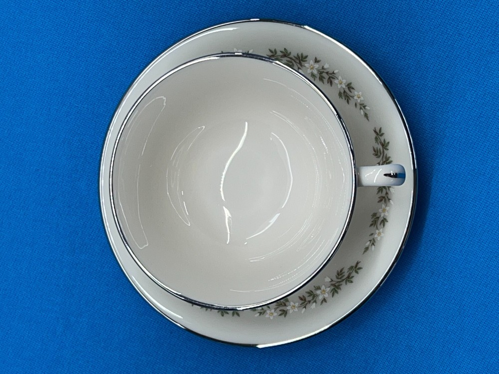 Lenox Brookdale Cup and Saucer