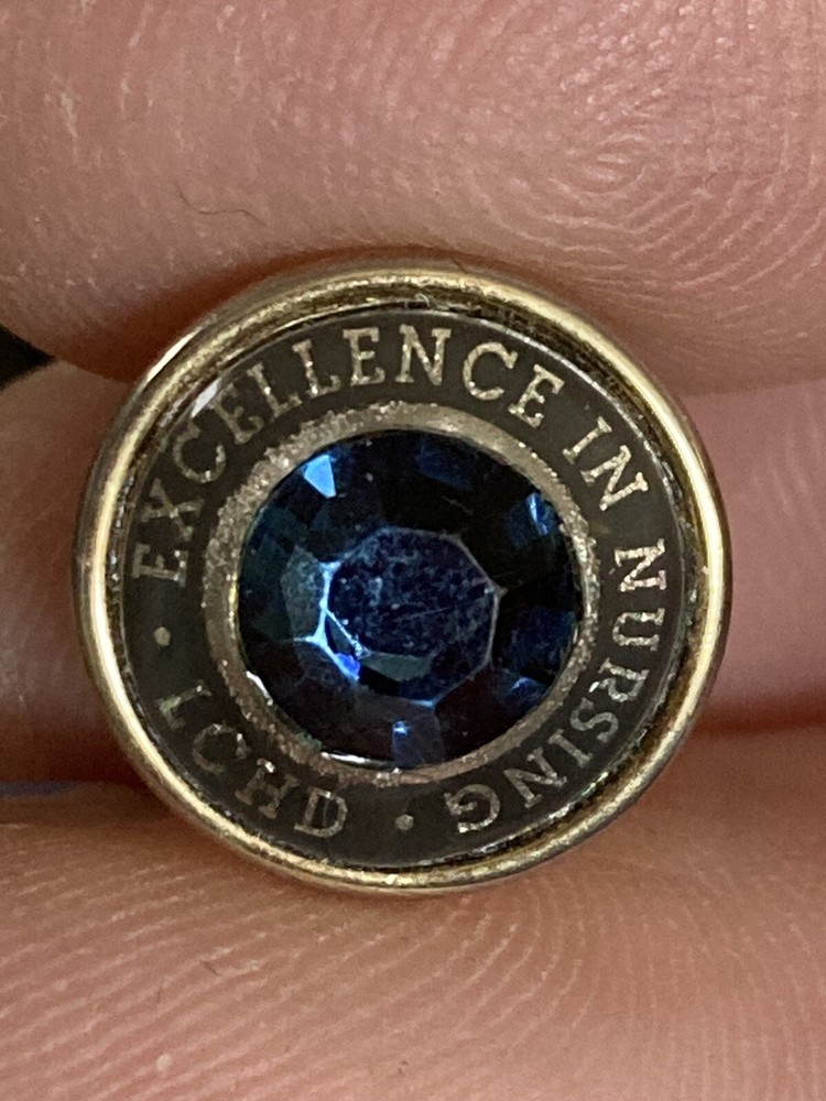 Excellence In Nursing ICHD Lapel Pin EUC K535