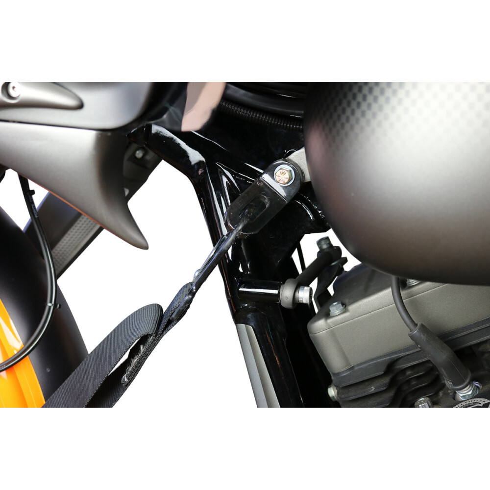 Paul Yaffe Bagger Nation Touchless Tie-Down Ancho | TDB