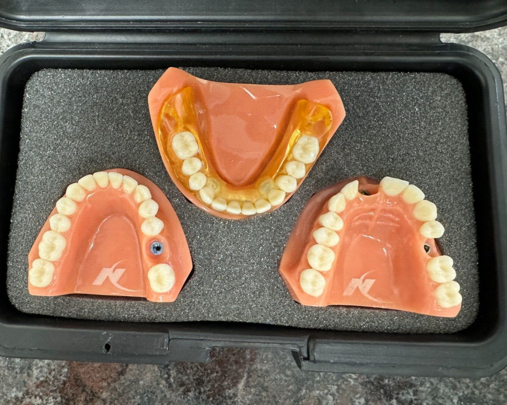 Nobel Biocare Education Models with Case