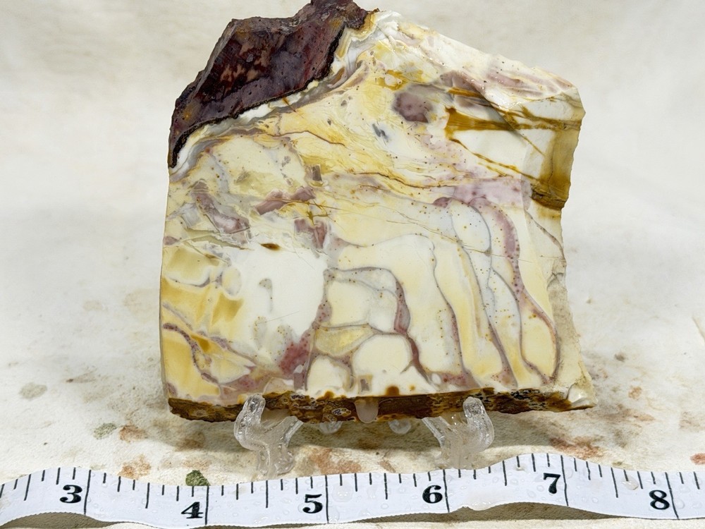 Willow Creek Jasper Slab, Lot#215