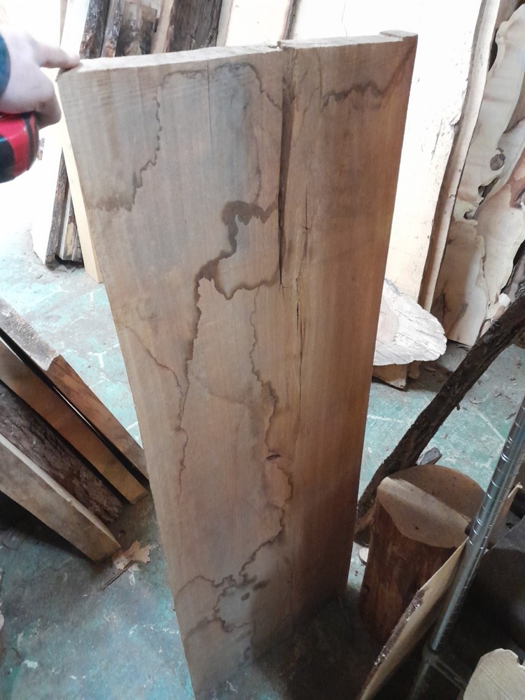 Palm Tree Live Edge Slab