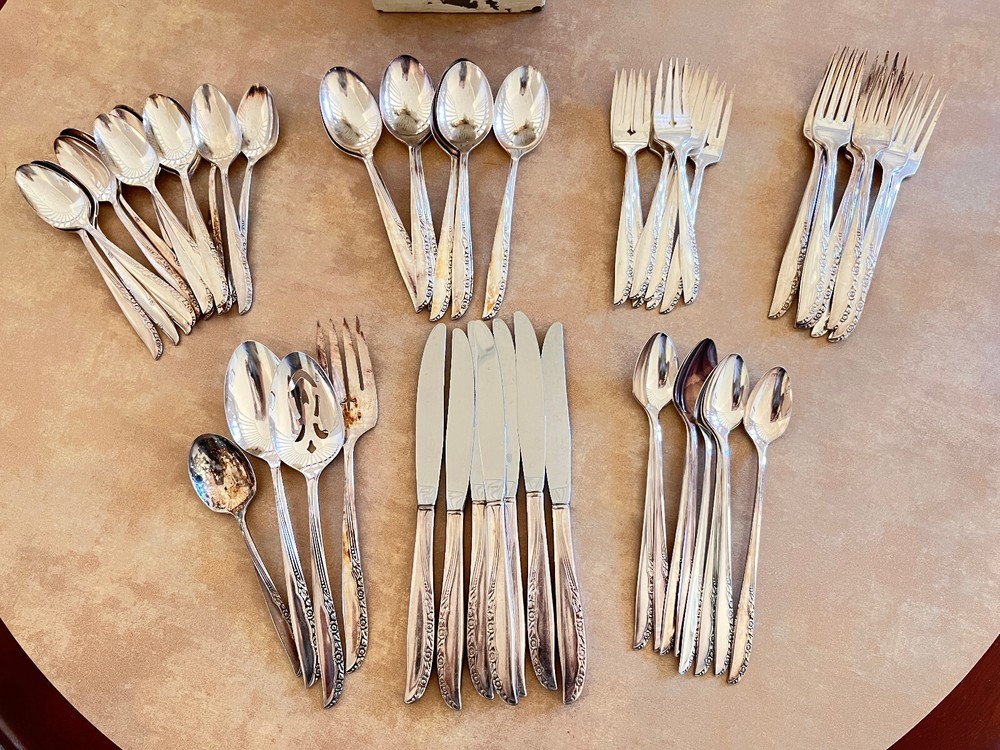 55 Pcs Oneida LTD WM.A. Rogers BRITTANY ROSE Silverplate Silverware Flatware Set