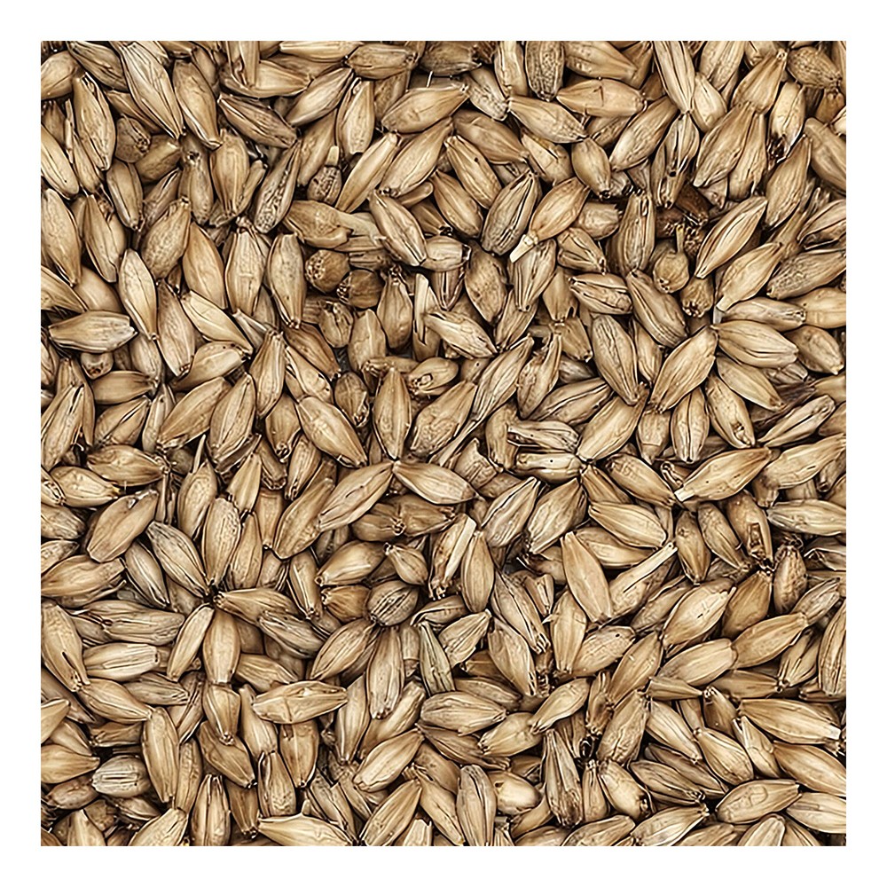 Home Brew Ohio Montana Pilsner Grain 55lb