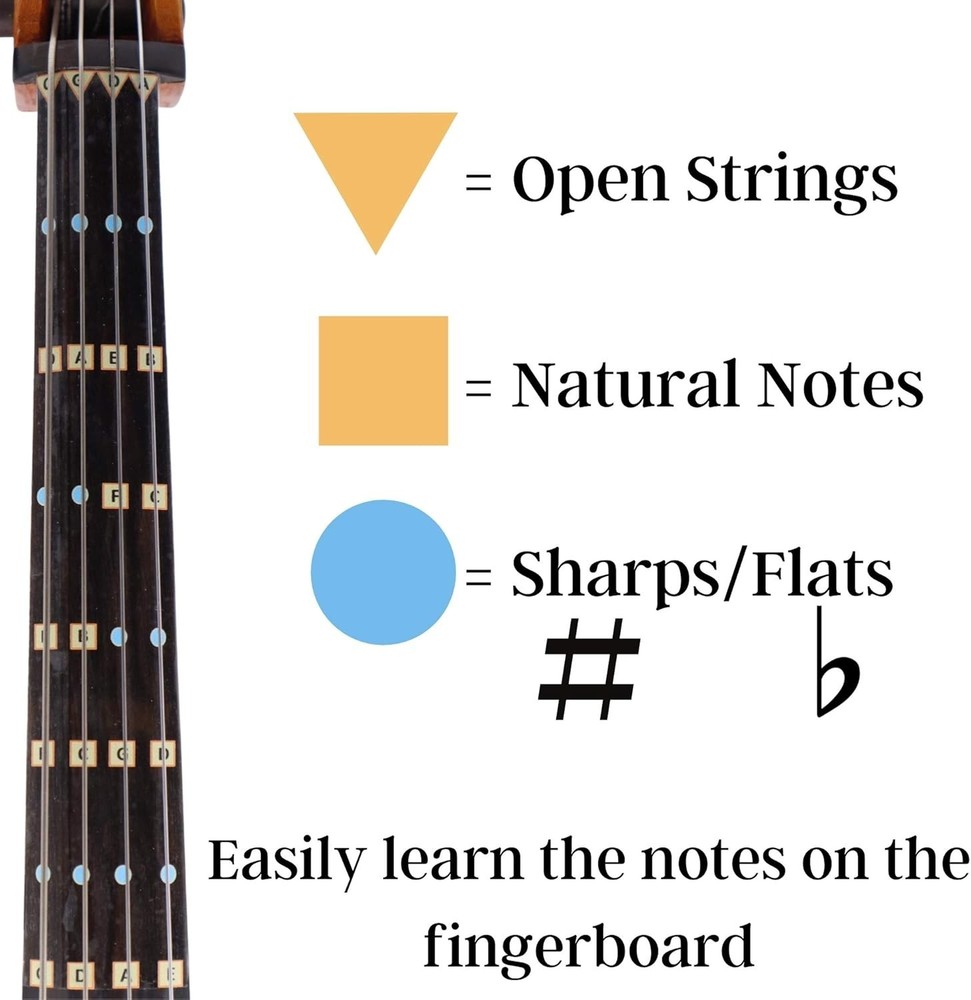 Cello Finger Guide Stickers for Learning Notes 4/4 Size Beginner to Intermediate