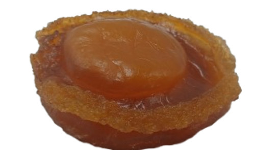 Display Fake Food Prop Abalone