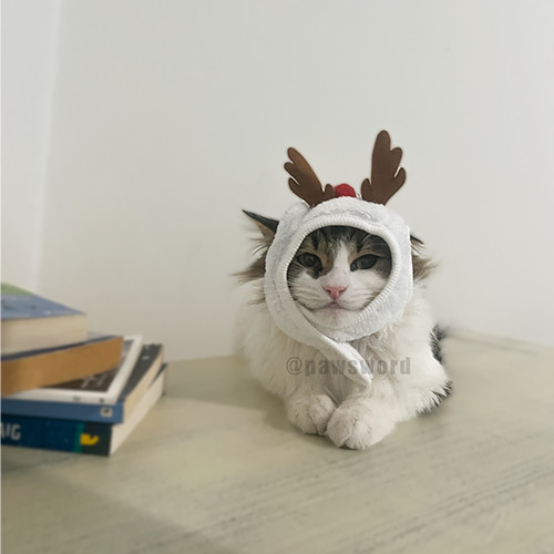 Cat Christmas Hat