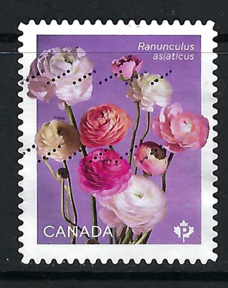CANADA USED - SCOTT # 3375 - FROM BOOKLET - RANUNCULUS - 2023