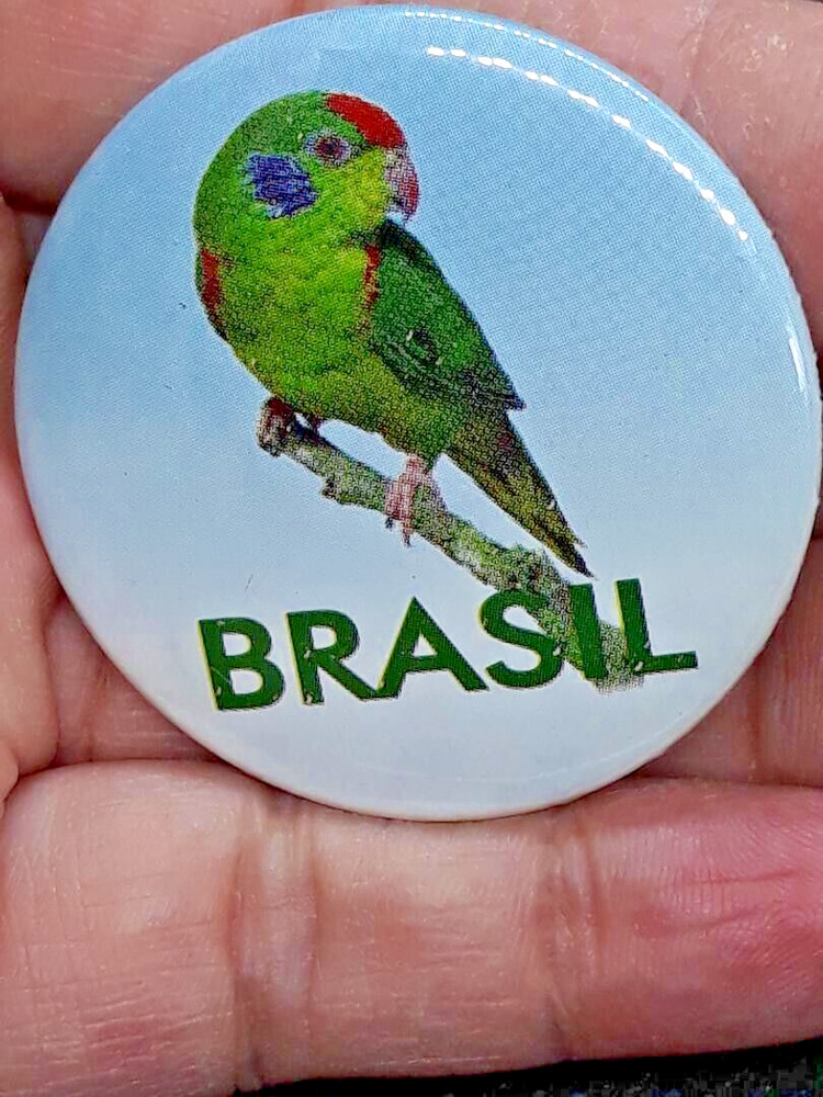 VINTAGE BRAZIL PARROT BUTTON PIN