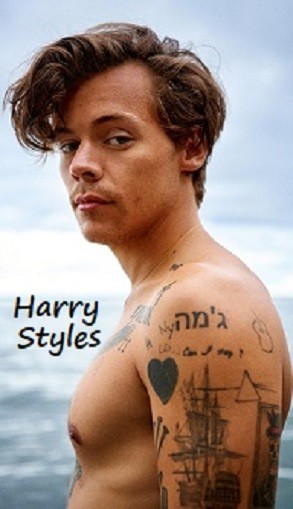 Harry Styles Fridge Magnet