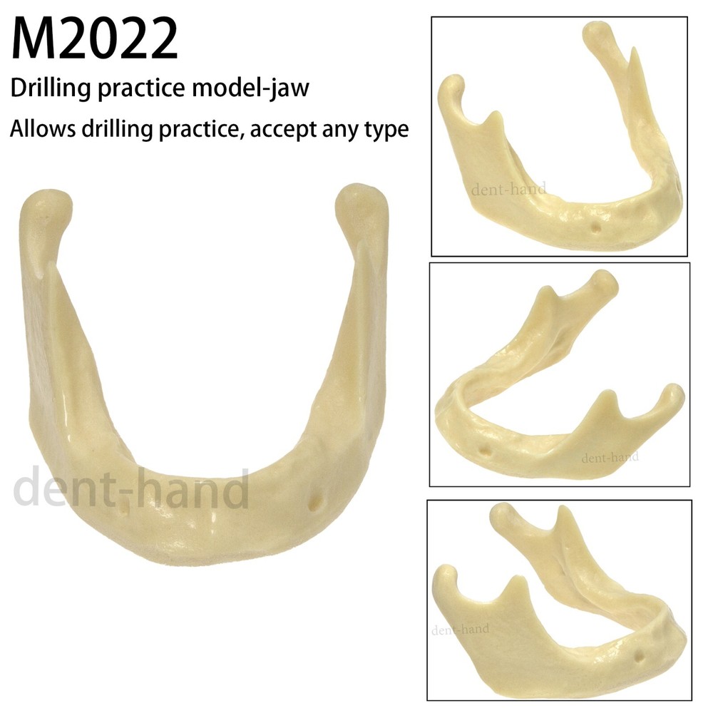 M2022 Dental Drilling Practice Model-Jaw For Implant Insertion Basic Practice