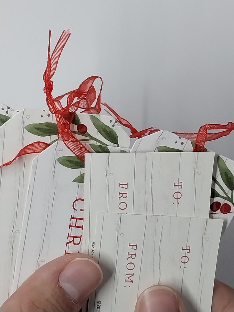 Merry Christmas Gift Tags- 2 Of Them