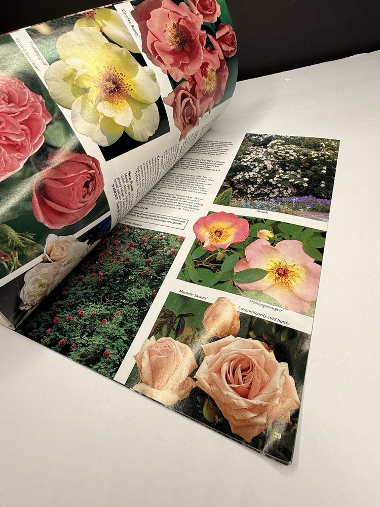 Wayside Gardens Seed Catalog 1991 (As Seen)