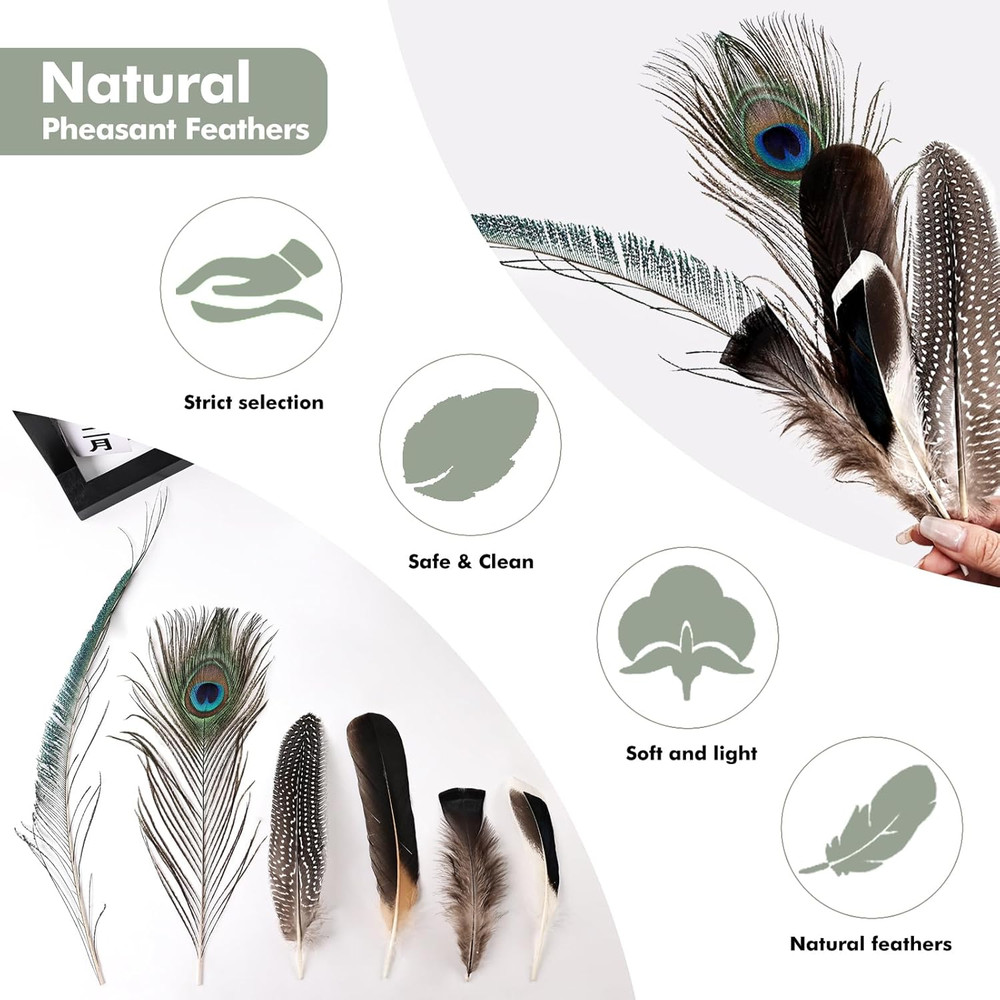 Feelfunfeather 50Pcs Natural Feathers Bulk-6 Style Mixed Decorative Spotted