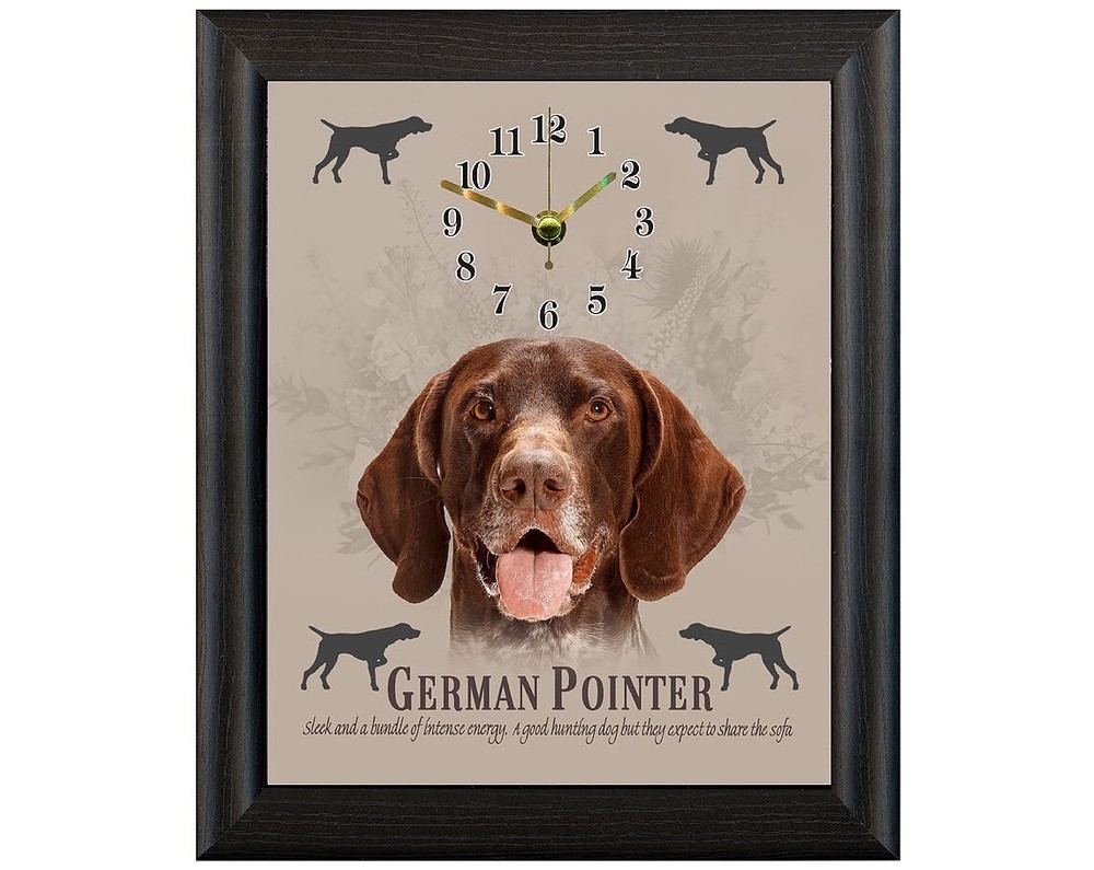 German Pointer clock wall or freestanding