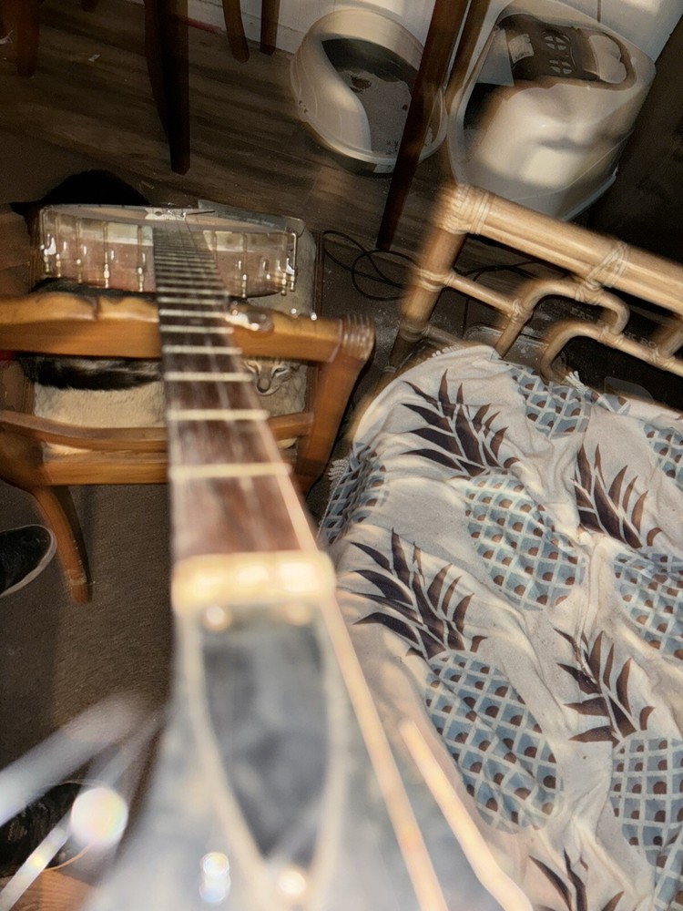 Vega 1967 SS-5 Folklore Banjo