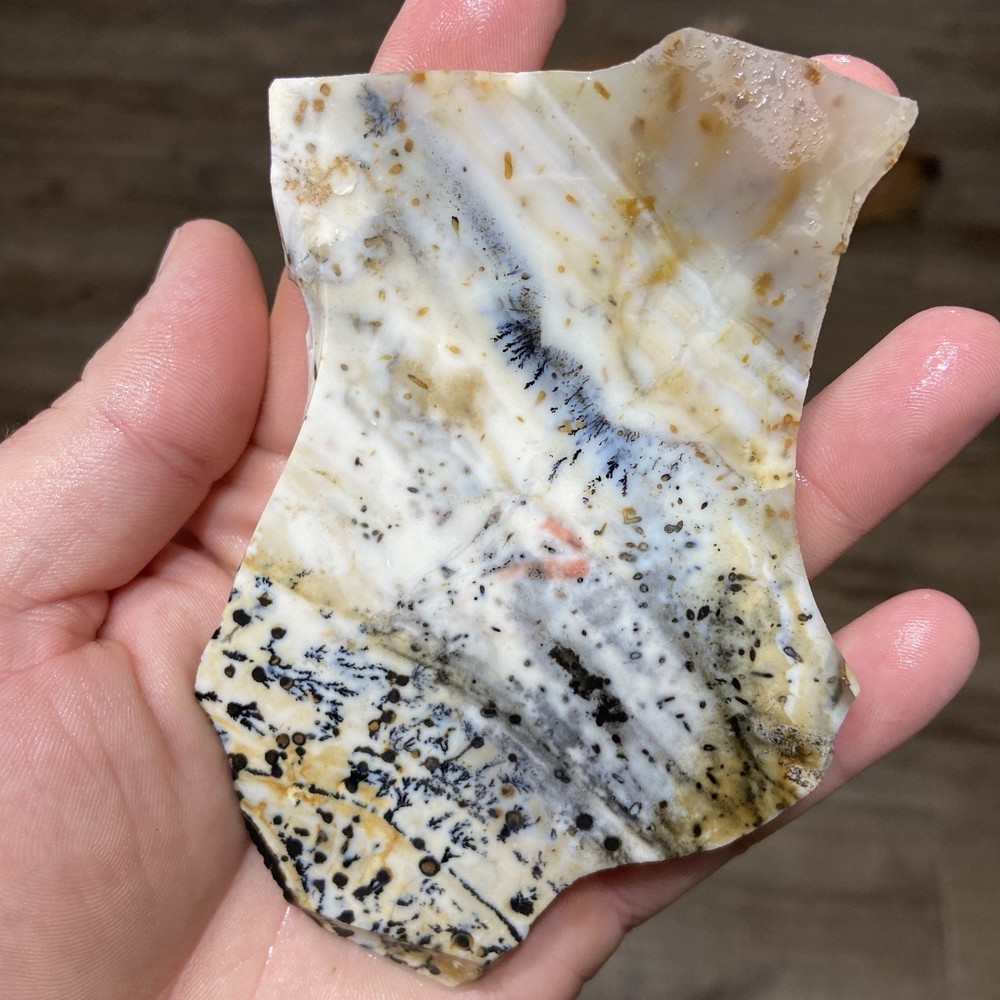 Dendrite Opal Rough Slab Unique Patterns 4.46 Oz