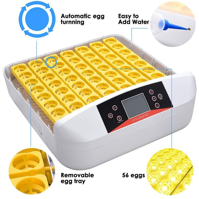 Egg Bird Incubator Automatic Poultry Hatcher Breeder Egg Turning 56 Eggs 110V