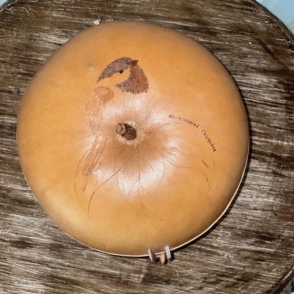 Hand Crafted Gourd With Black-Capped Chickadee-UNIQUE