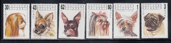 BULGARIA Dog Breeds MNH set
