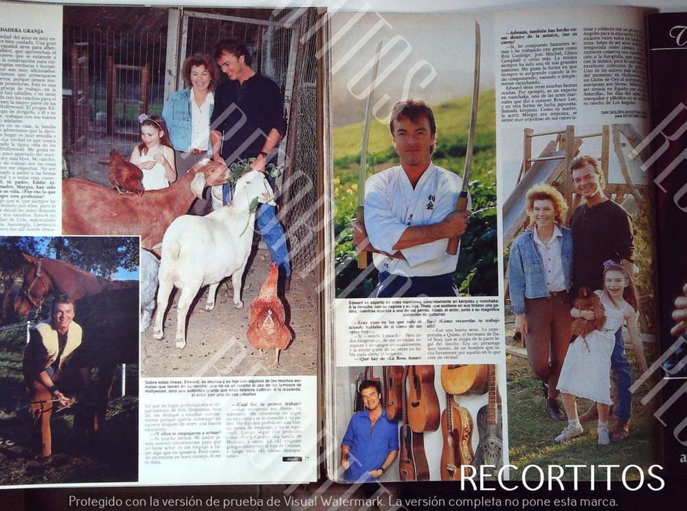 clippings EDWAR ALBER THE YELLOW ROSE