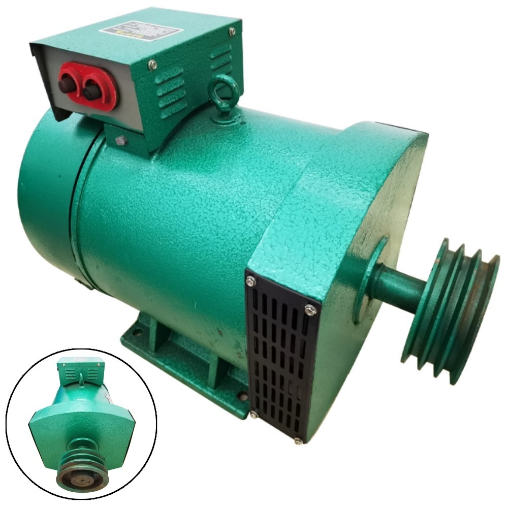 220V 1-Phase Driven Generator Brushed Generator Pure Copper Engine