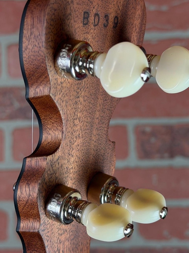 Deering Sierra 5-String Mahogany Resonator Banjo