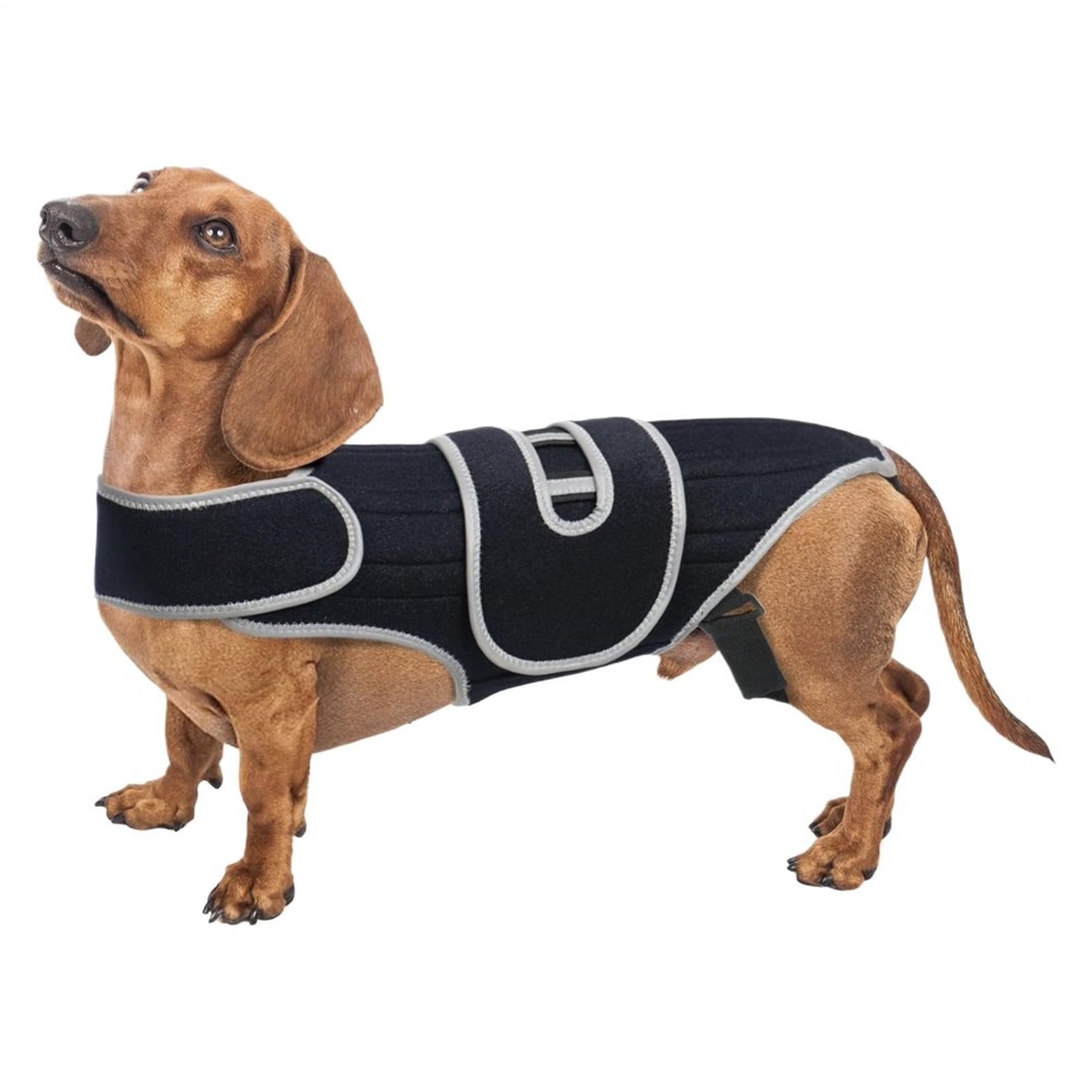 Dog Back Brace Adjustable Spinal Stability Harness Small Dog Support