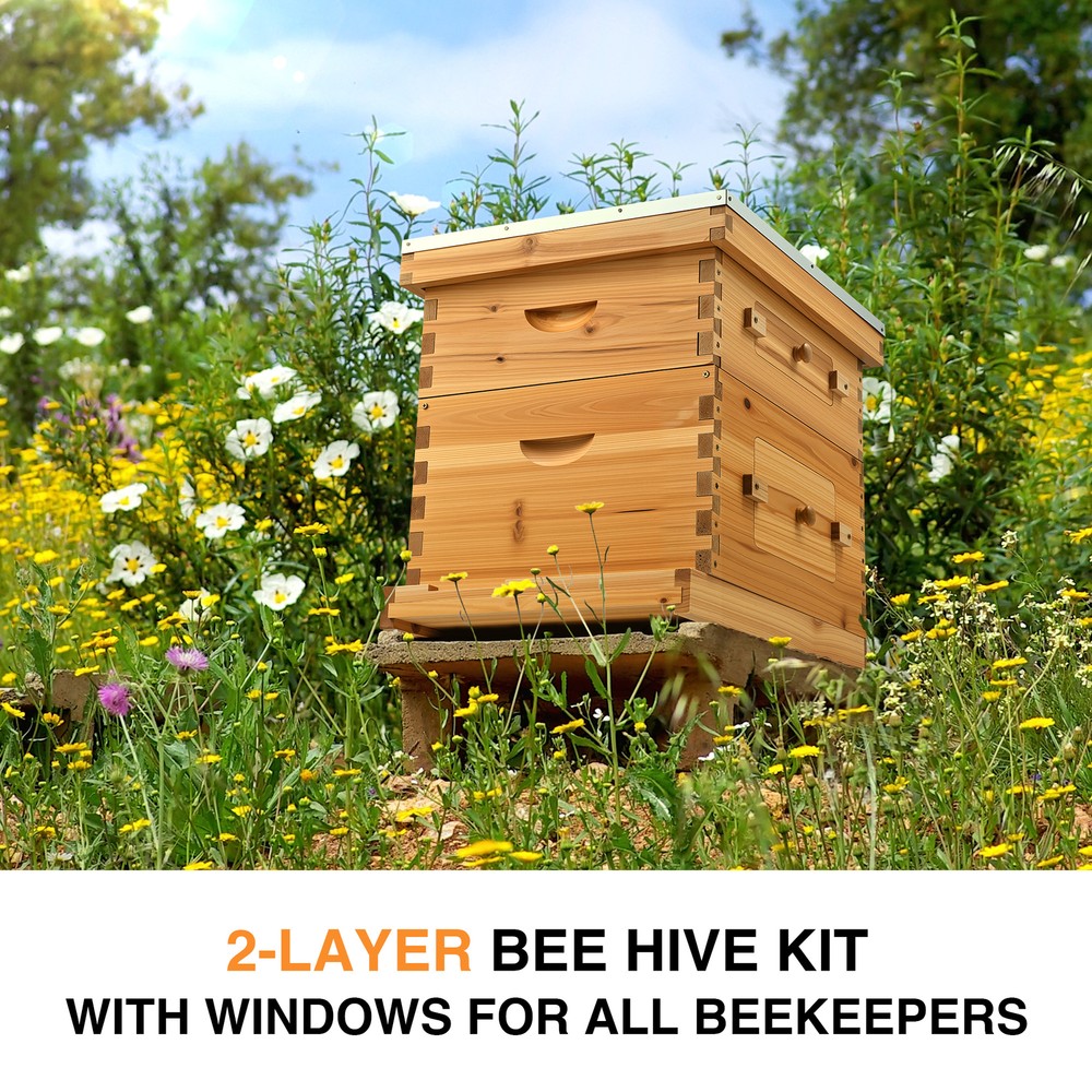 Beehive Frame BeeHive Box Kit W/ Beeswax Beekeeping 20 Frames 10 Deep+10 Medium