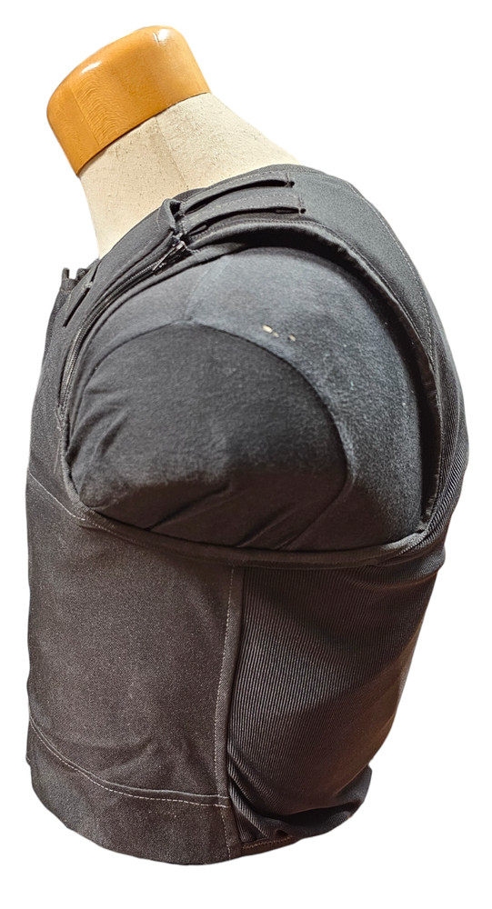 Aegis Engineering Carrier w/ Dual Purpose Armor
