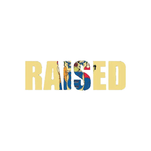 New Jersey Raised State Flag Sticker Decal