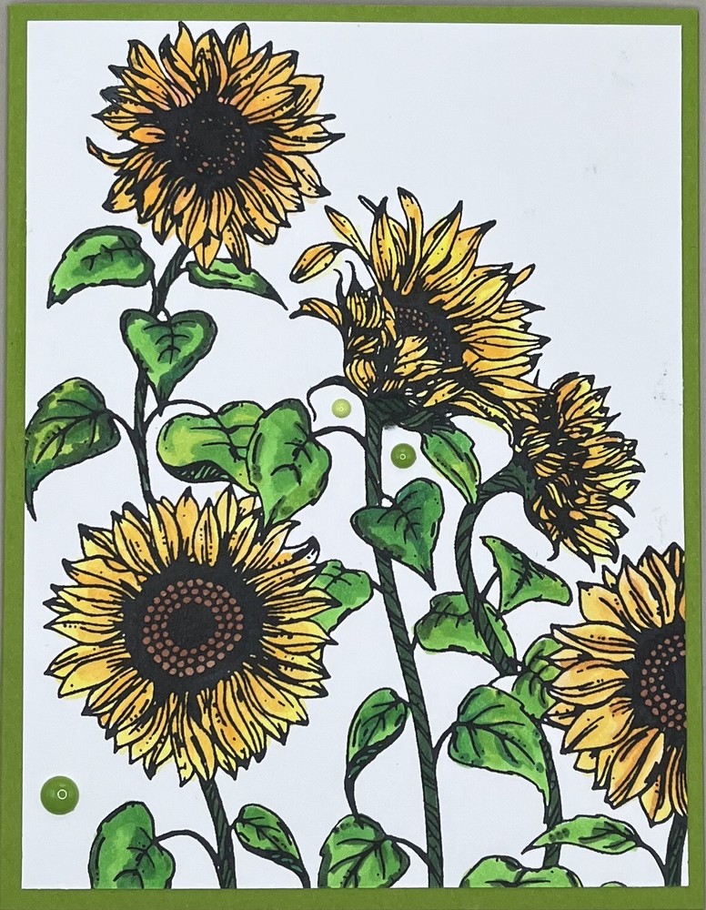 Any Occasion/Thank You