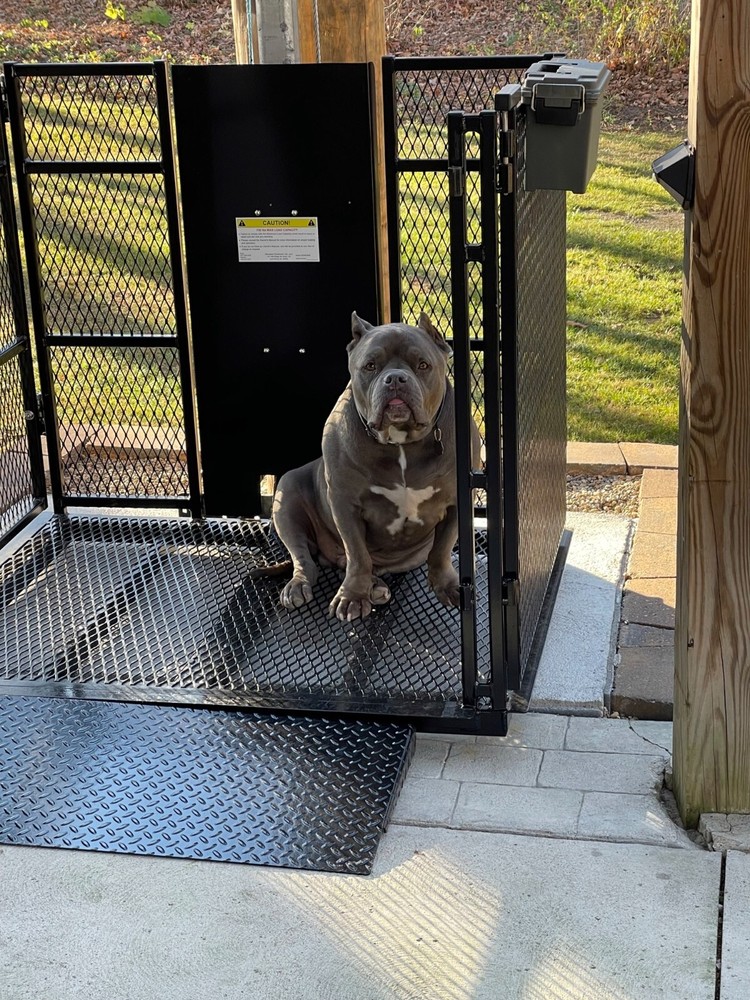 Wheelchair Platform Lift/Elevator - 18 ft