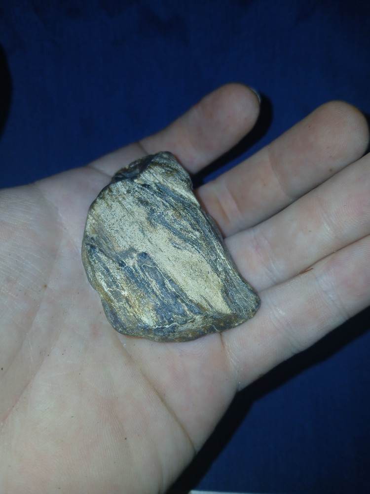 1.9 oz Agatized Petrified Wood
