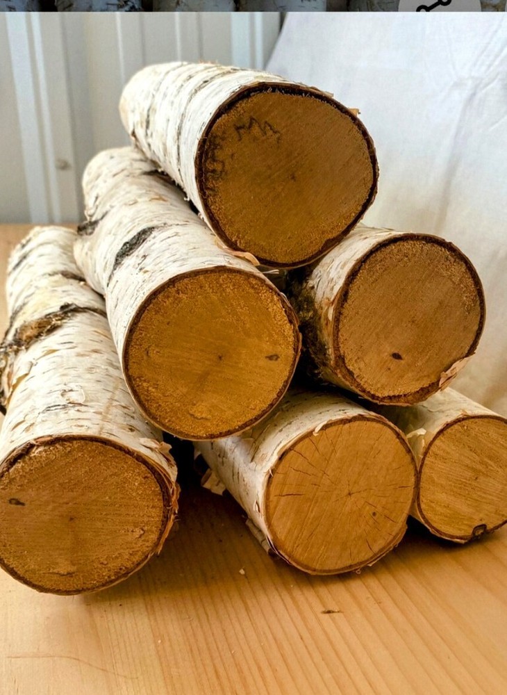 All Natural White Birch Fireplace Log Bundle
