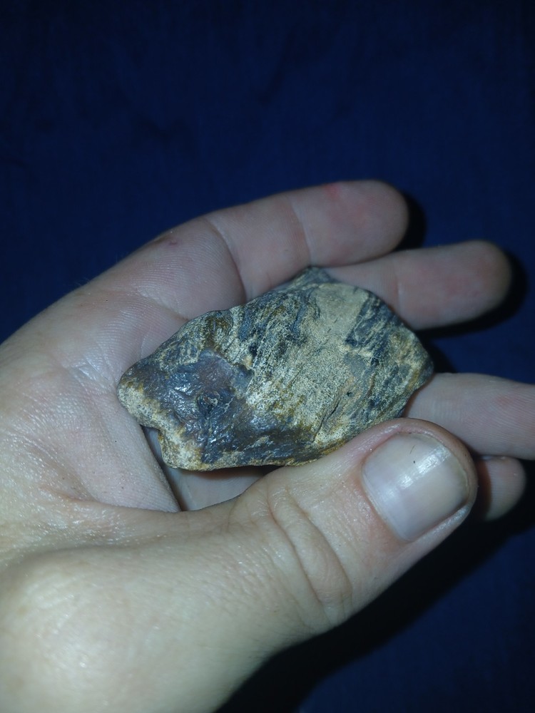 1.9 oz Agatized Petrified Wood