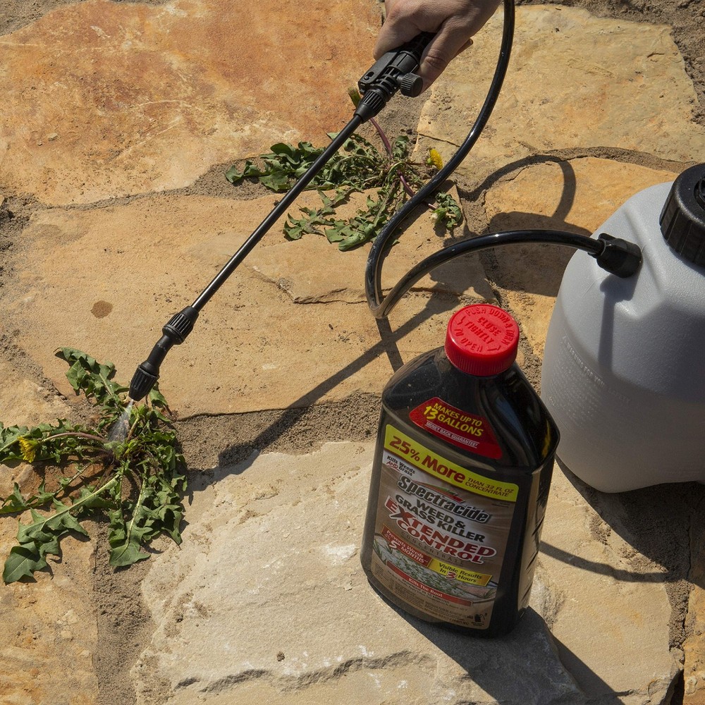 Weed & Grass Killer With Extended Control Concentrate Extended Weed And Grass...